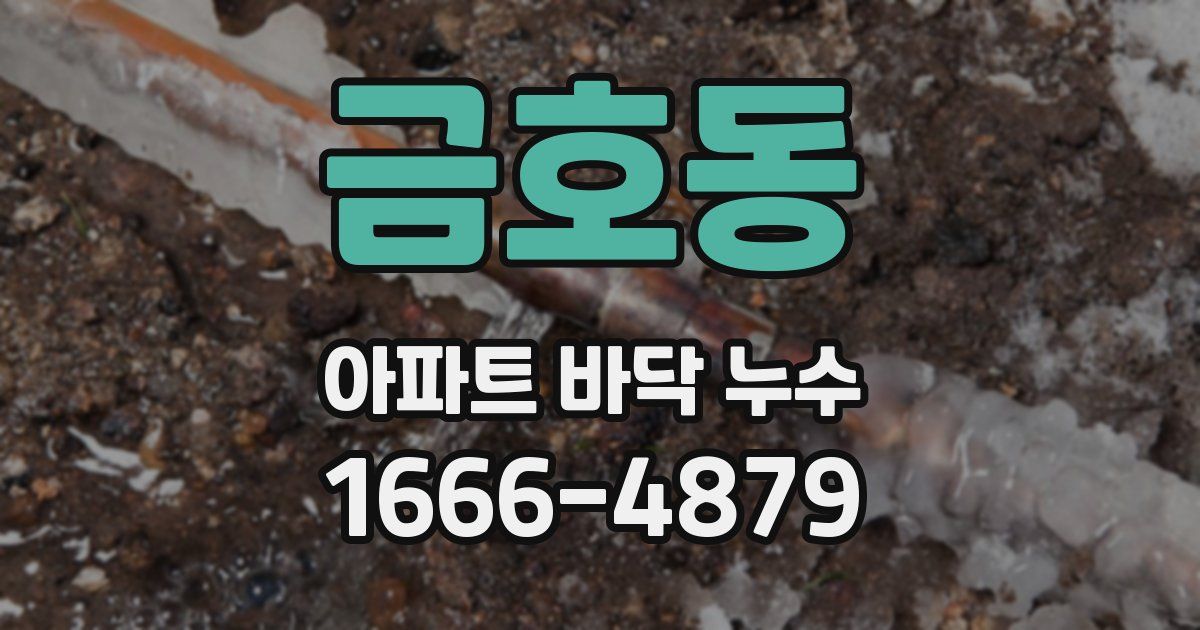 금호동 아파트 바닥 누수