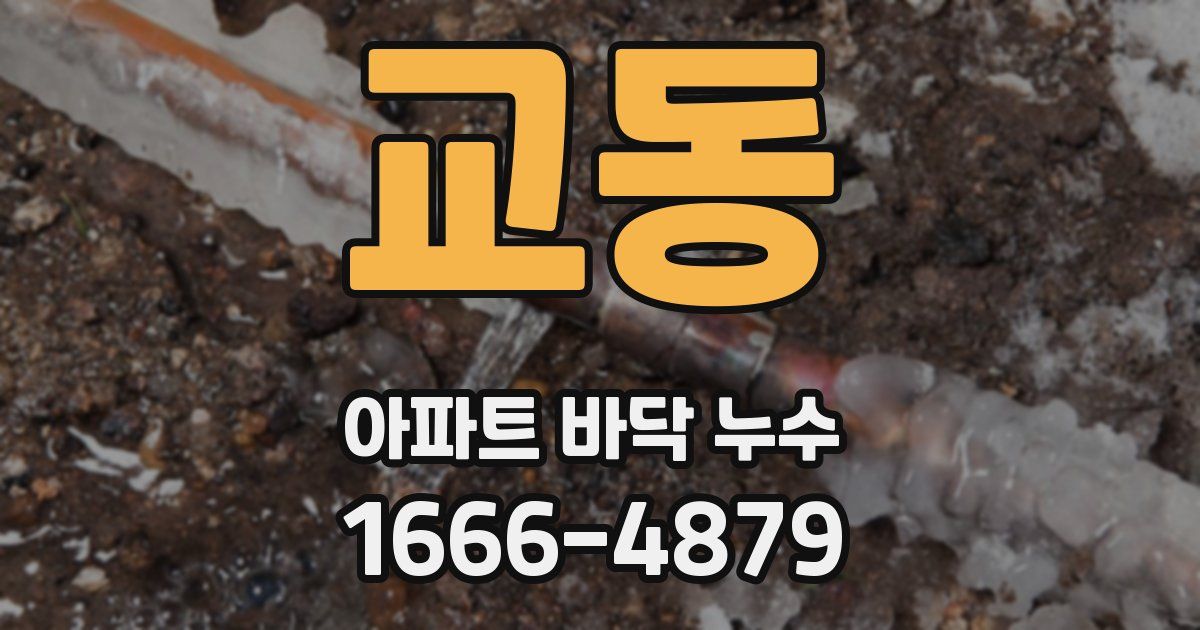 교동 아파트 바닥 누수