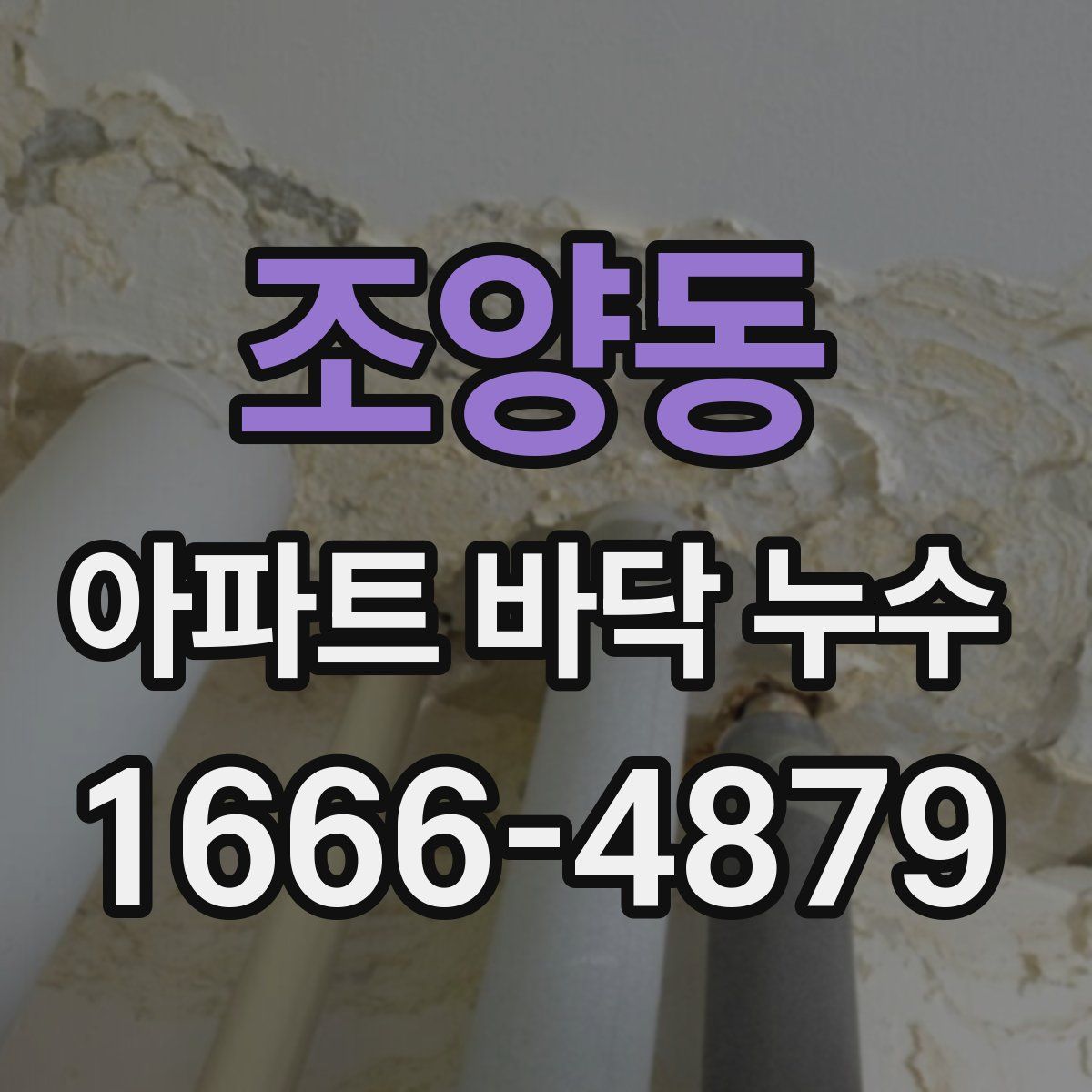 조양동 아파트 바닥 누수