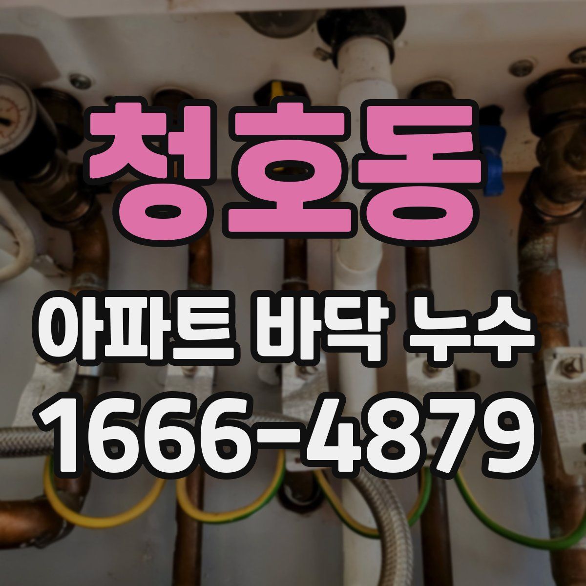 청호동 아파트 바닥 누수