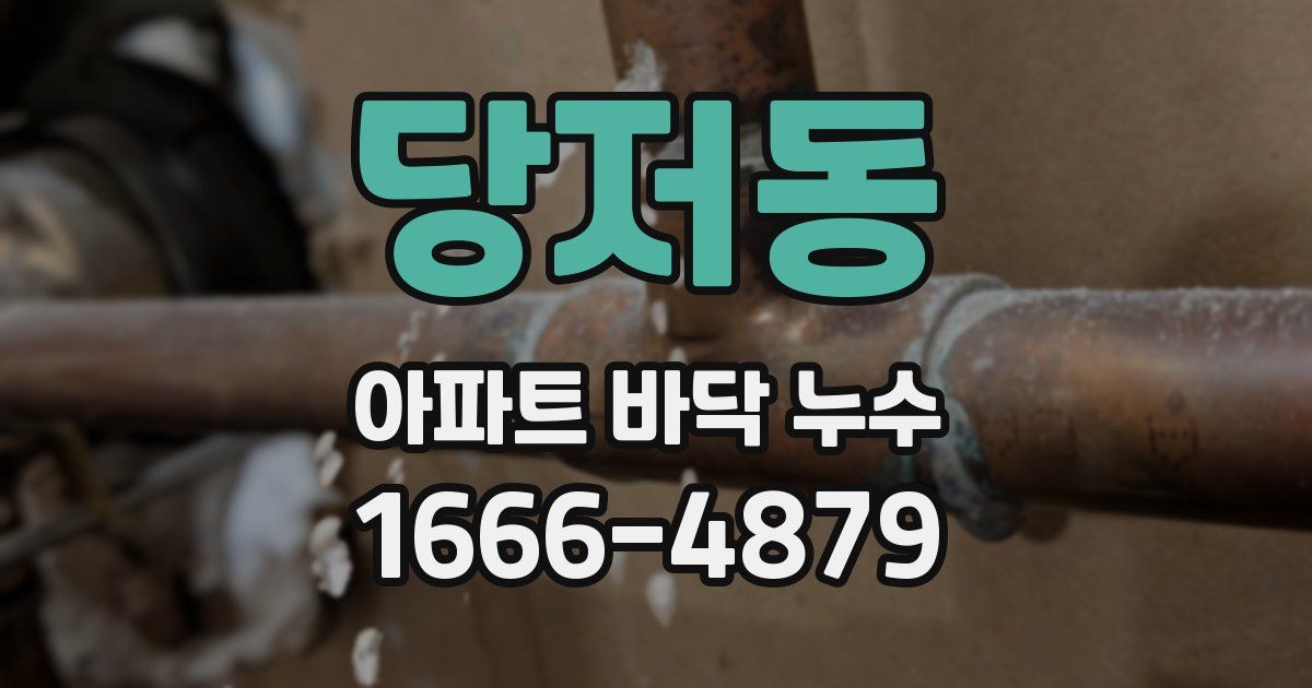당저동 아파트 바닥 누수