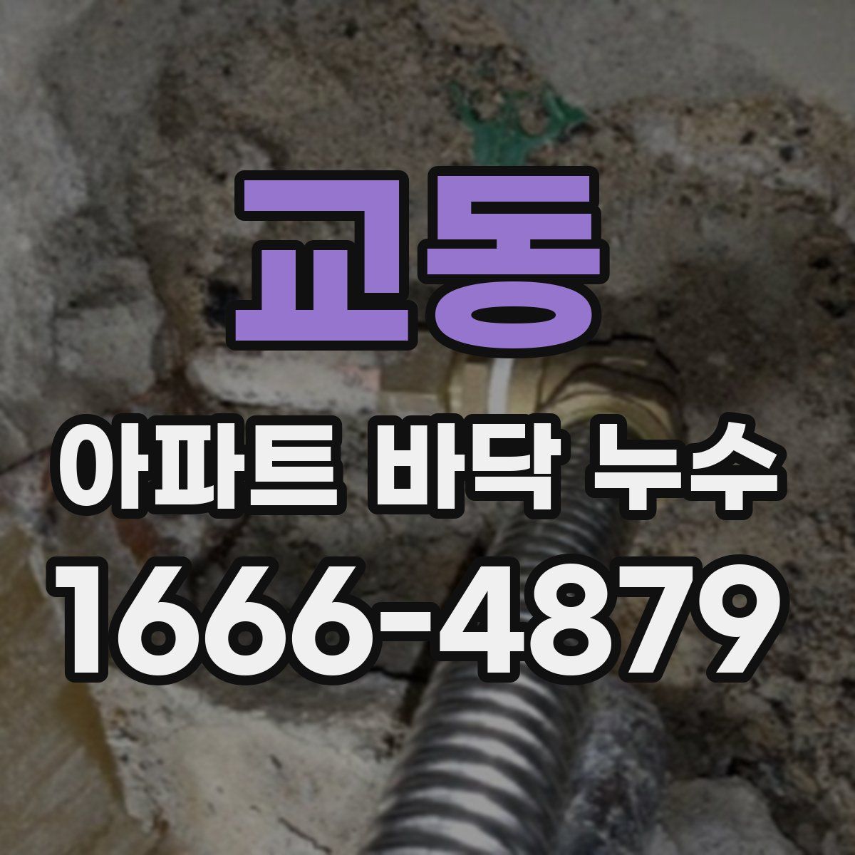 교동 아파트 바닥 누수