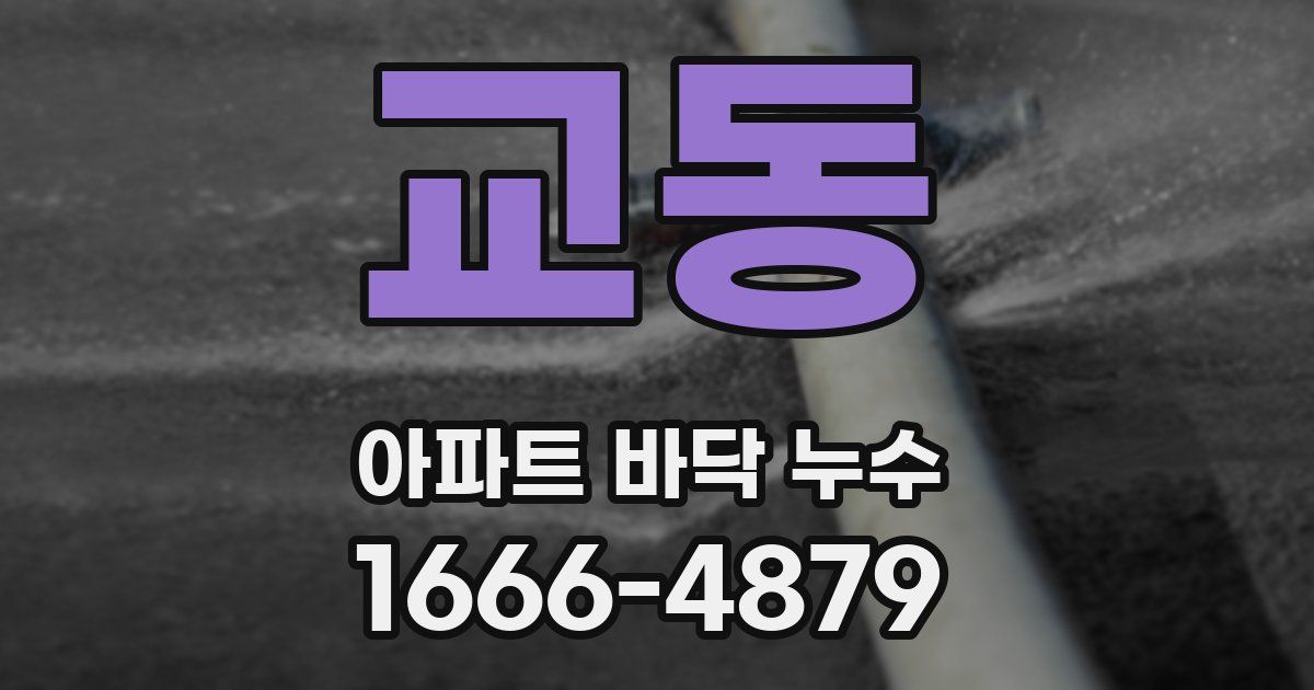교동 아파트 바닥 누수