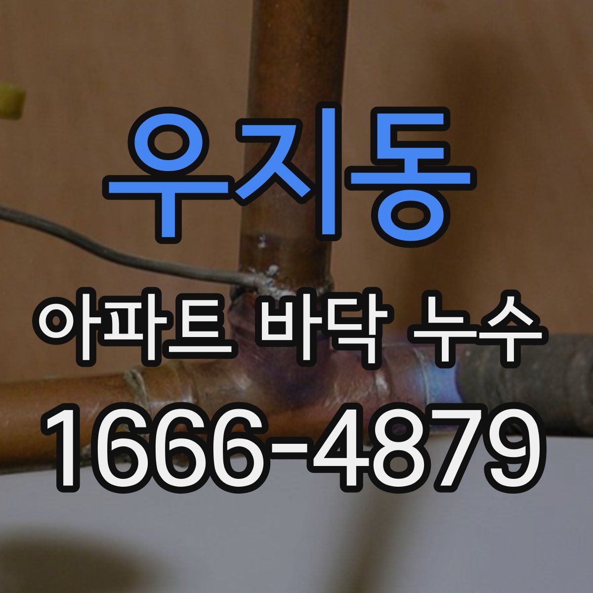 우지동 아파트 바닥 누수