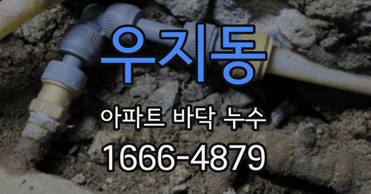 우지동 아파트 바닥 누수