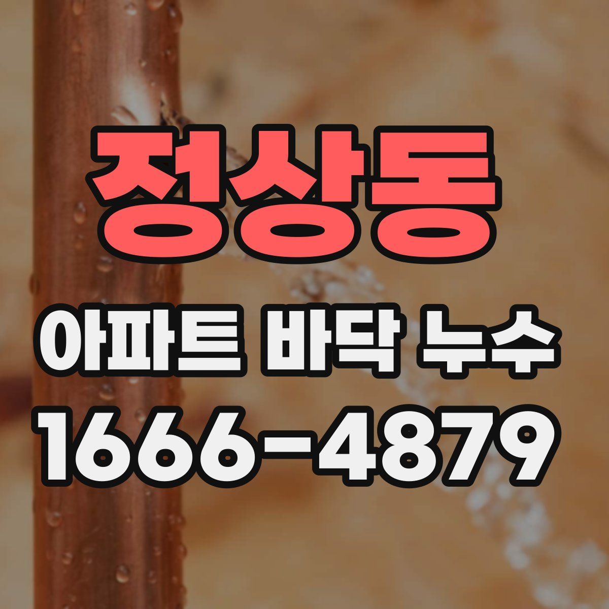 정상동 아파트 바닥 누수