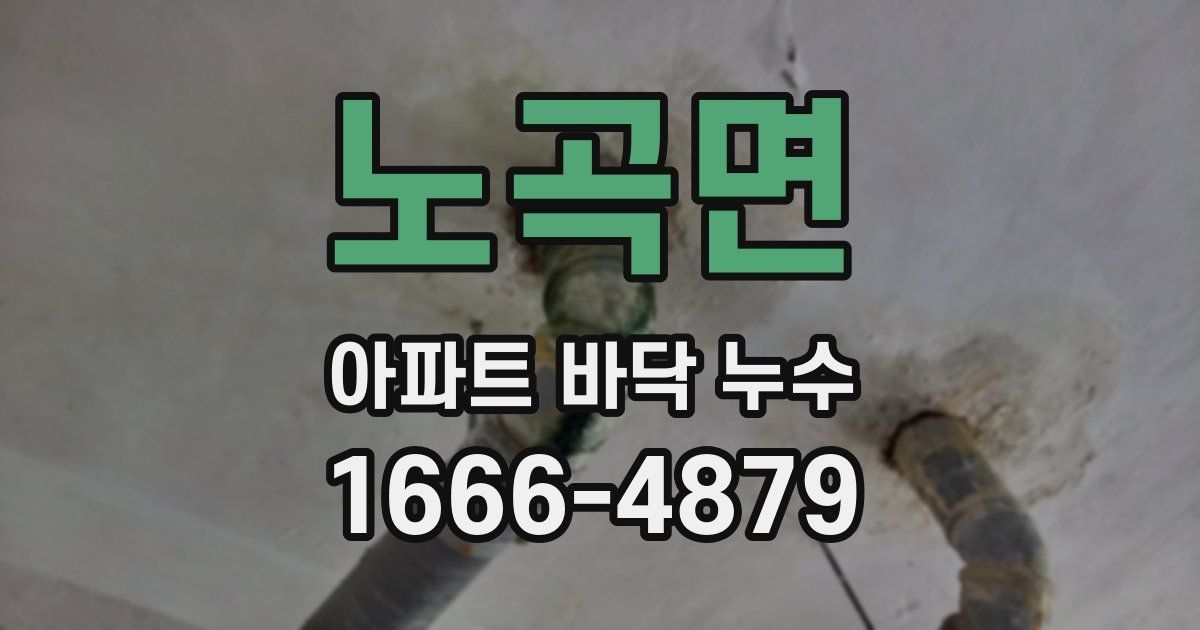 노곡면 아파트 바닥 누수