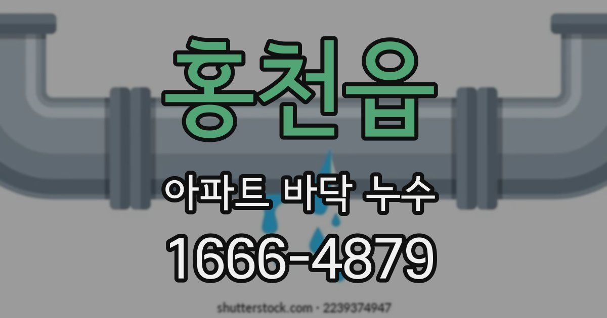 홍천읍 아파트 바닥 누수