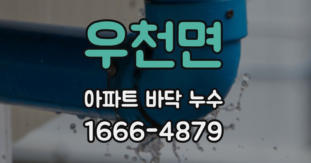 우천면 아파트 바닥 누수