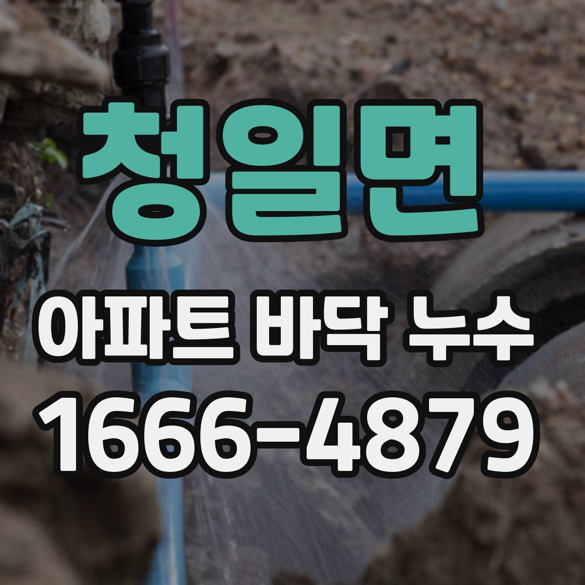 청일면 아파트 바닥 누수