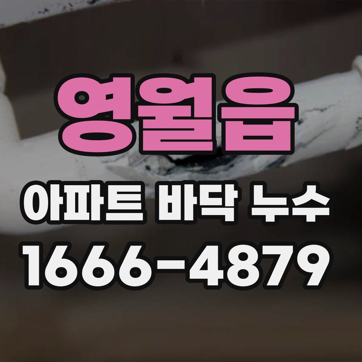 영월읍 아파트 바닥 누수