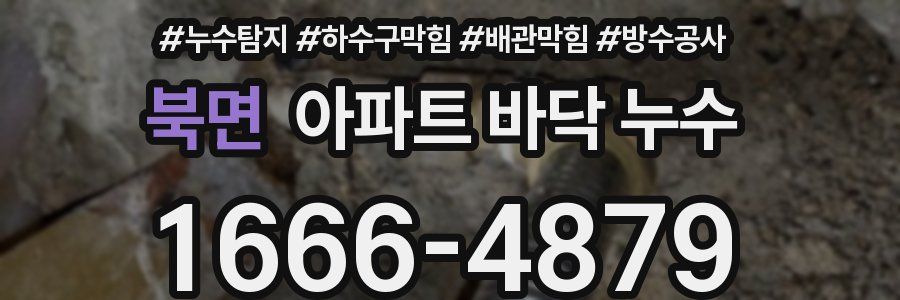 북면 아파트 바닥 누수