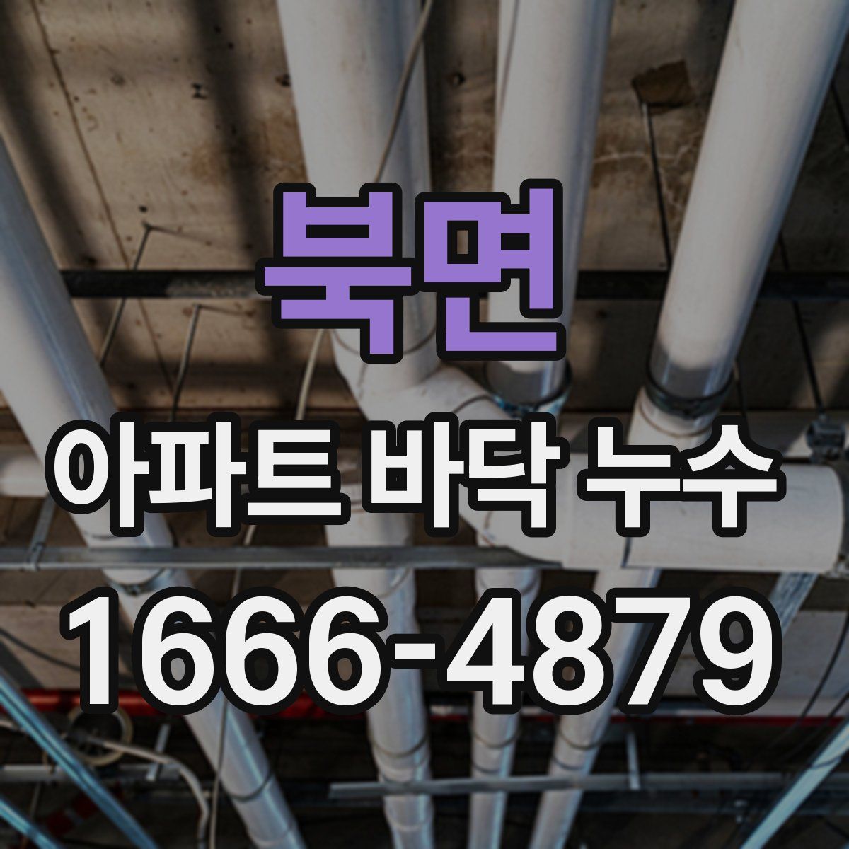 북면 아파트 바닥 누수