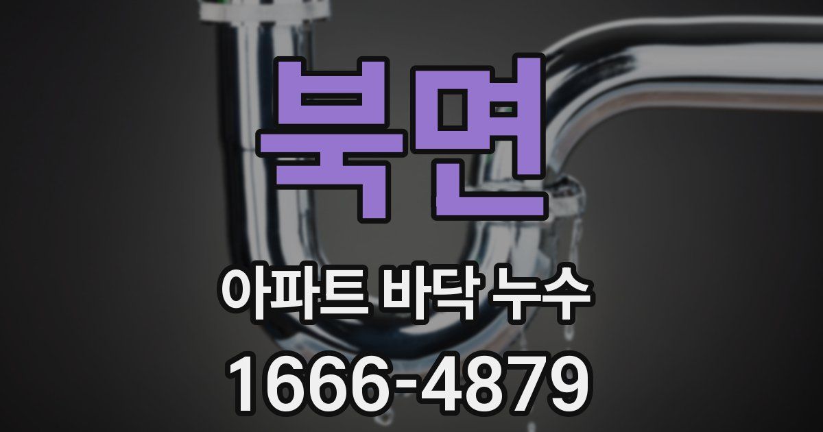 북면 아파트 바닥 누수