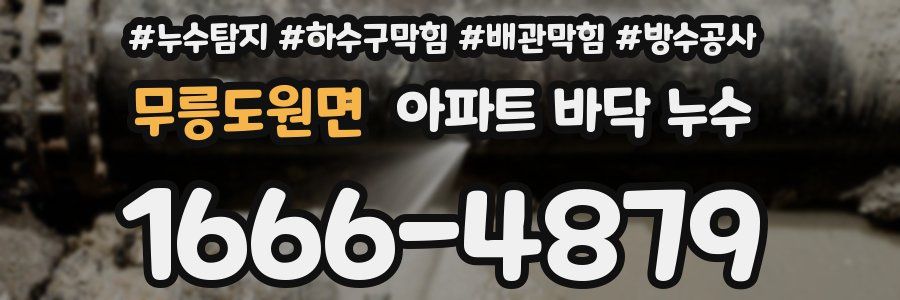 무릉도원면 아파트 바닥 누수
