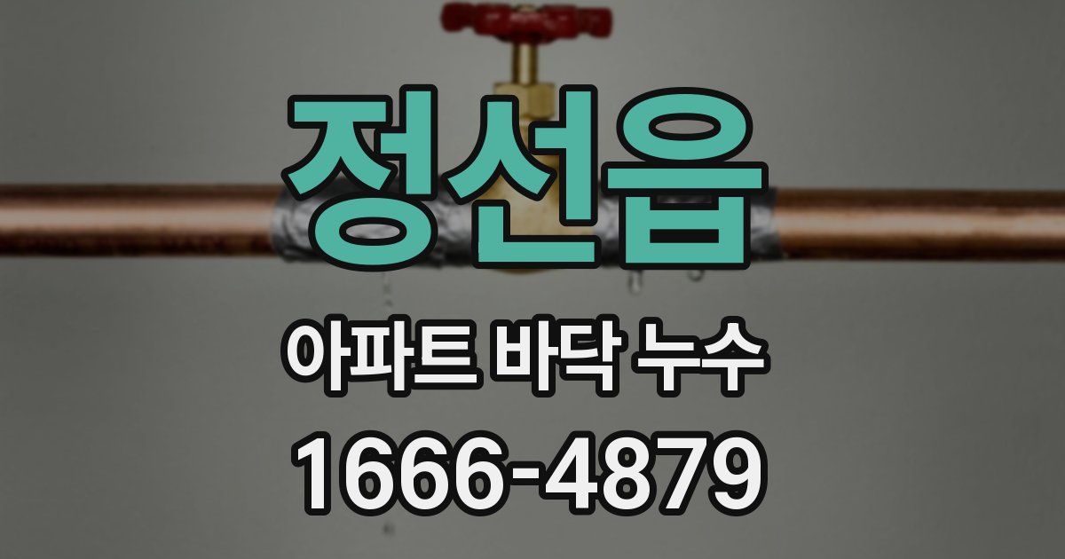 정선읍 아파트 바닥 누수