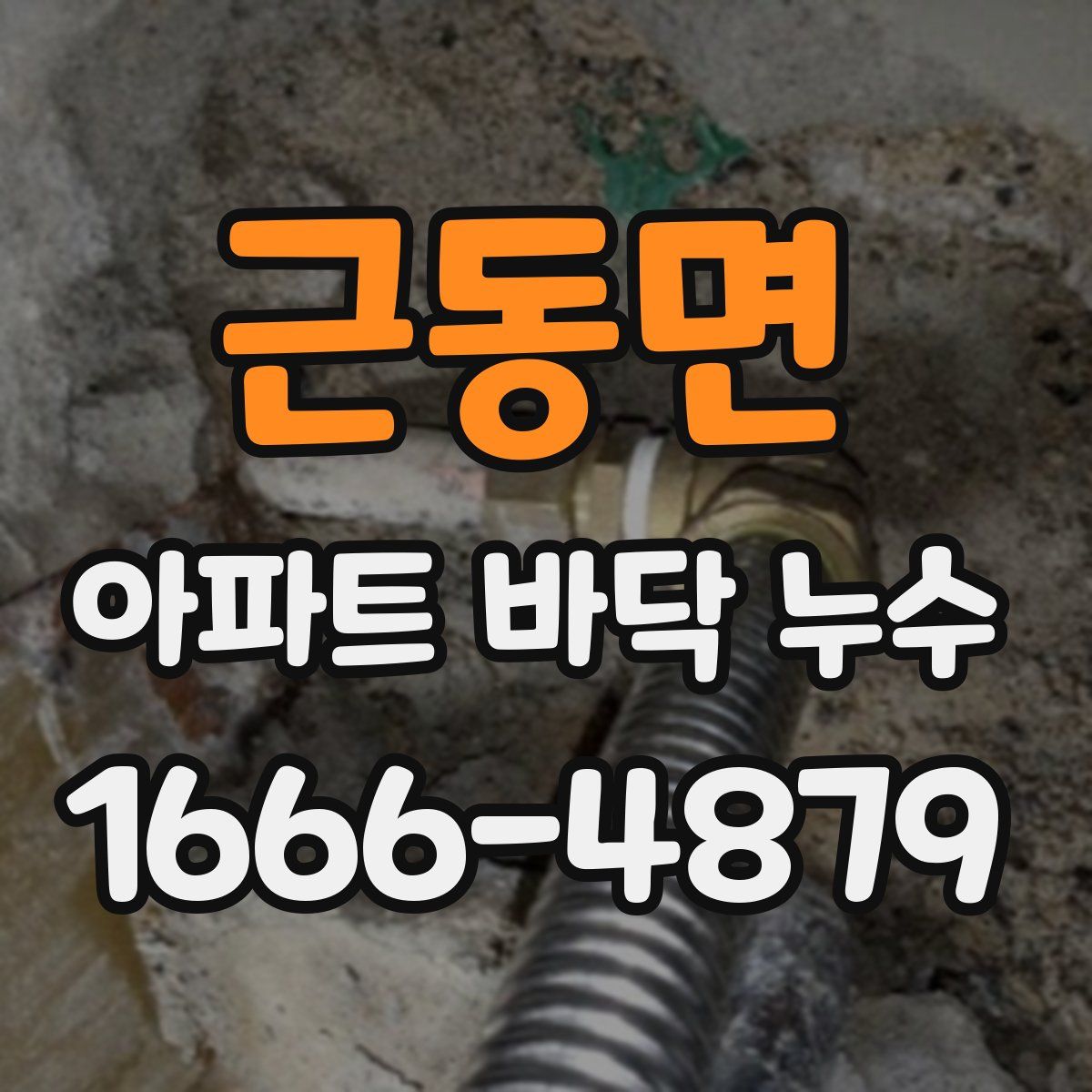 근동면 아파트 바닥 누수