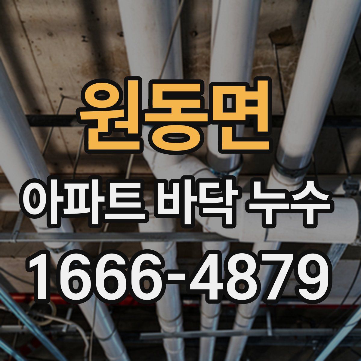 원동면 아파트 바닥 누수