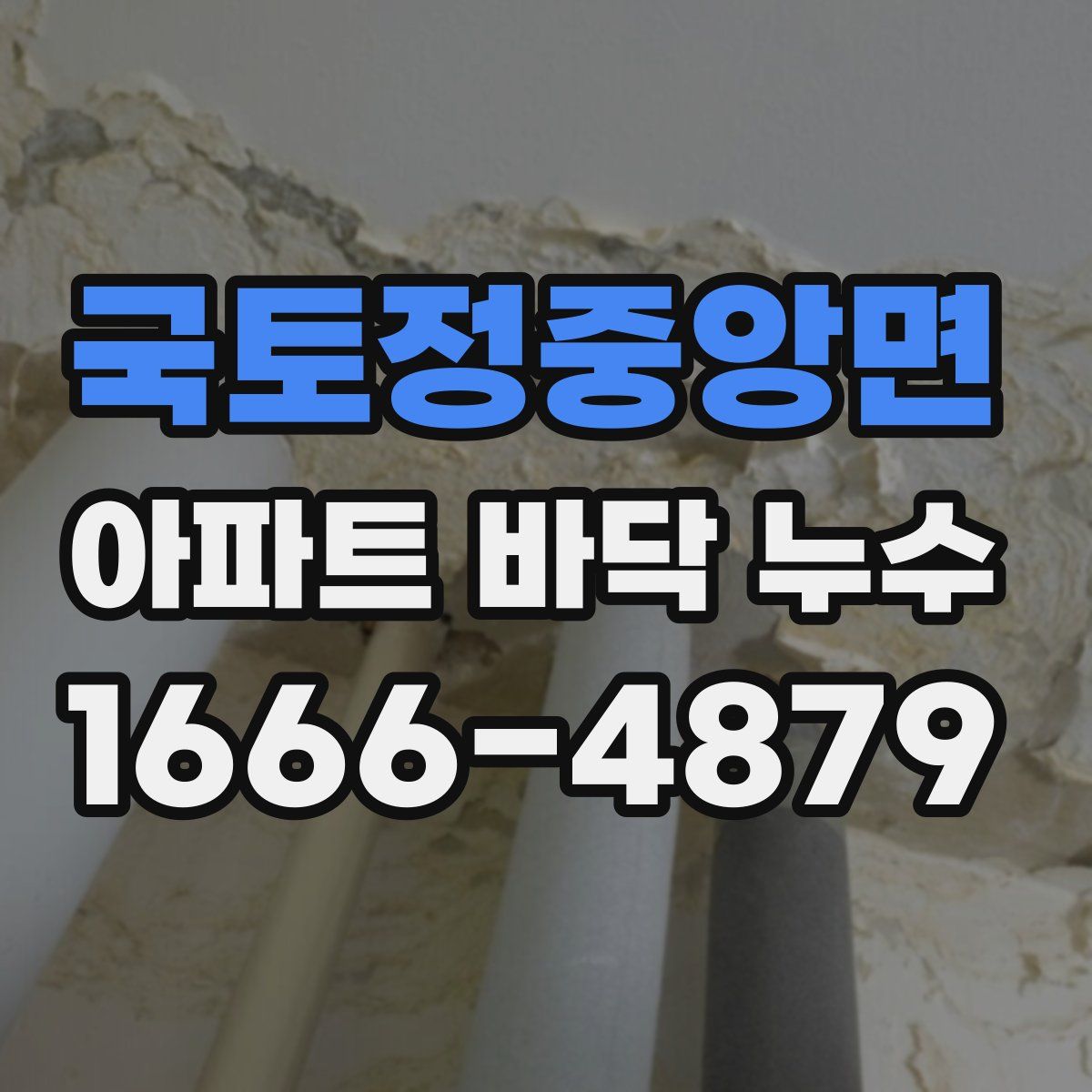 국토정중앙면 아파트 바닥 누수