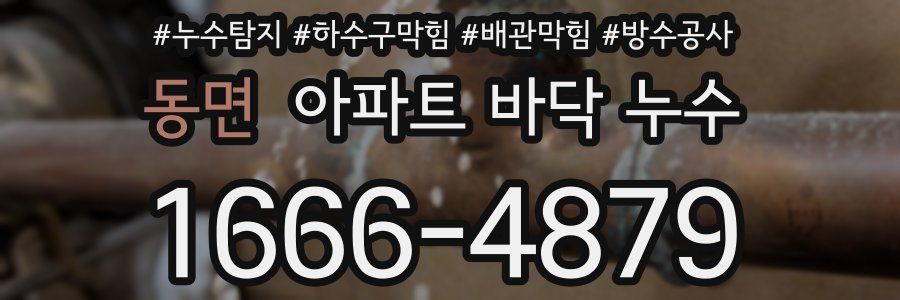동면 아파트 바닥 누수
