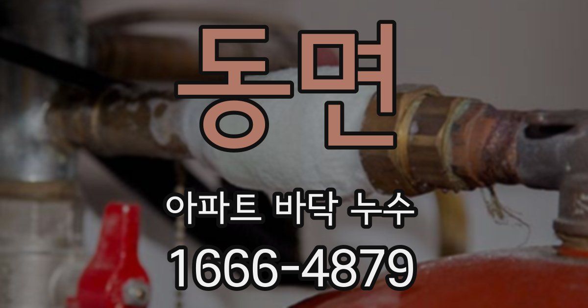 동면 아파트 바닥 누수