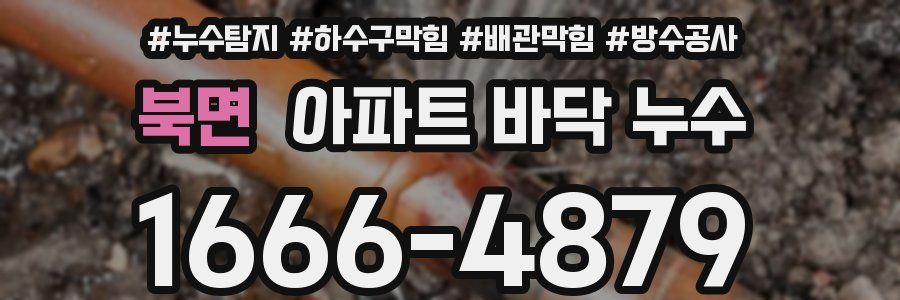 북면 아파트 바닥 누수
