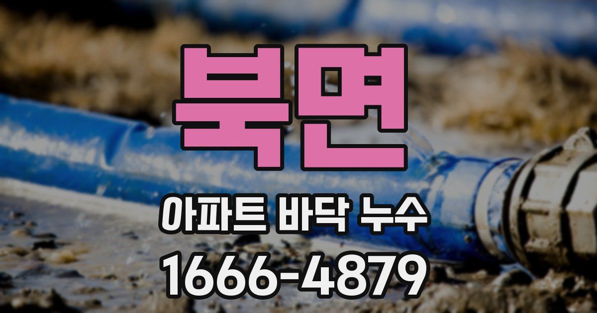 북면 아파트 바닥 누수