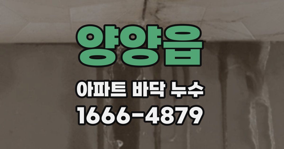 양양읍 아파트 바닥 누수
