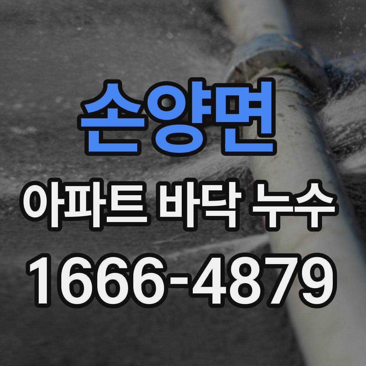 손양면 아파트 바닥 누수