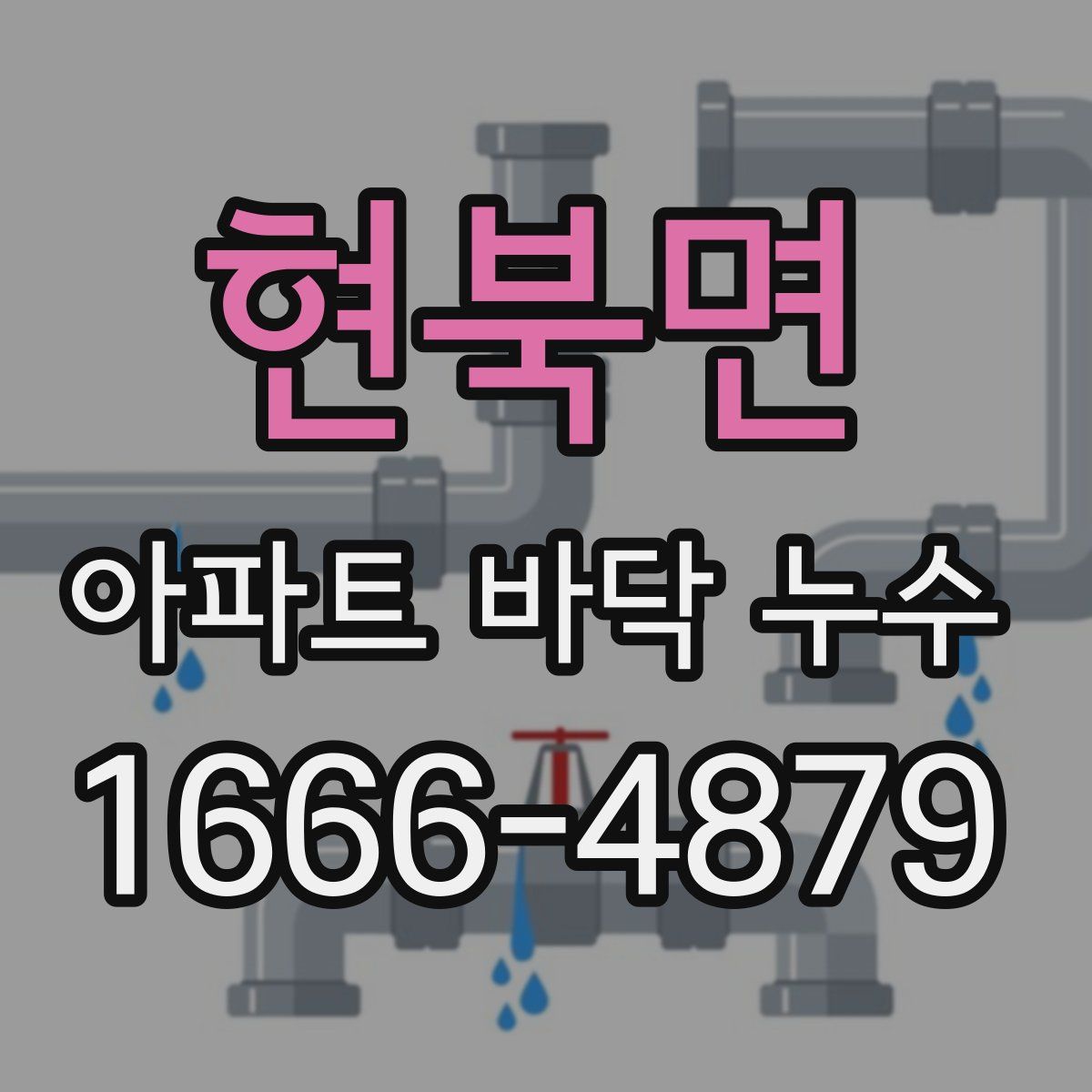 현북면 아파트 바닥 누수
