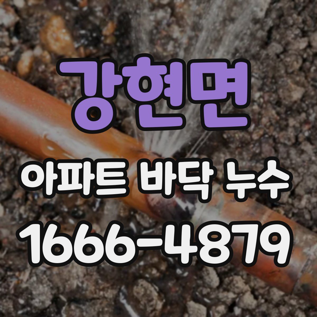 강현면 아파트 바닥 누수