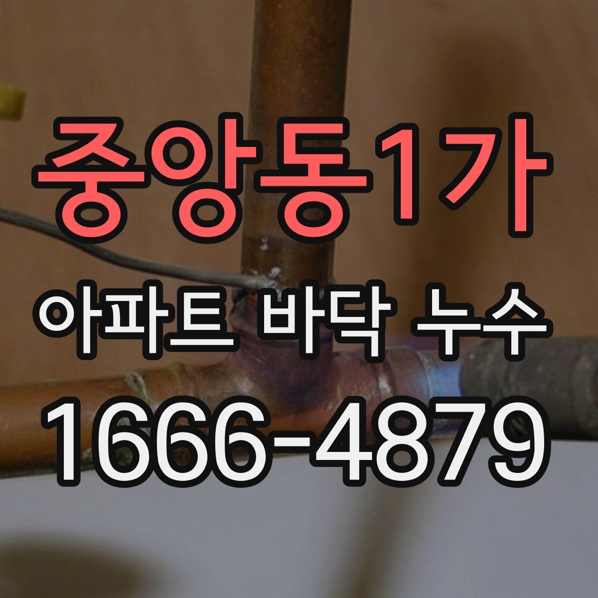중앙동1가 아파트 바닥 누수