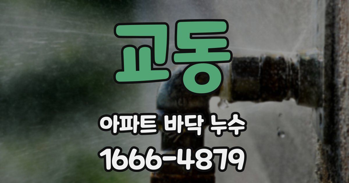 교동 아파트 바닥 누수