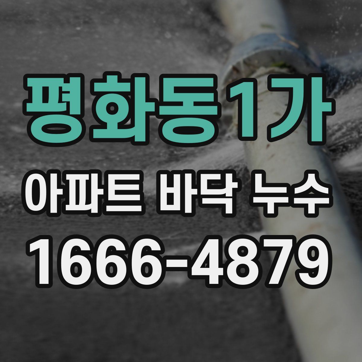 평화동1가 아파트 바닥 누수