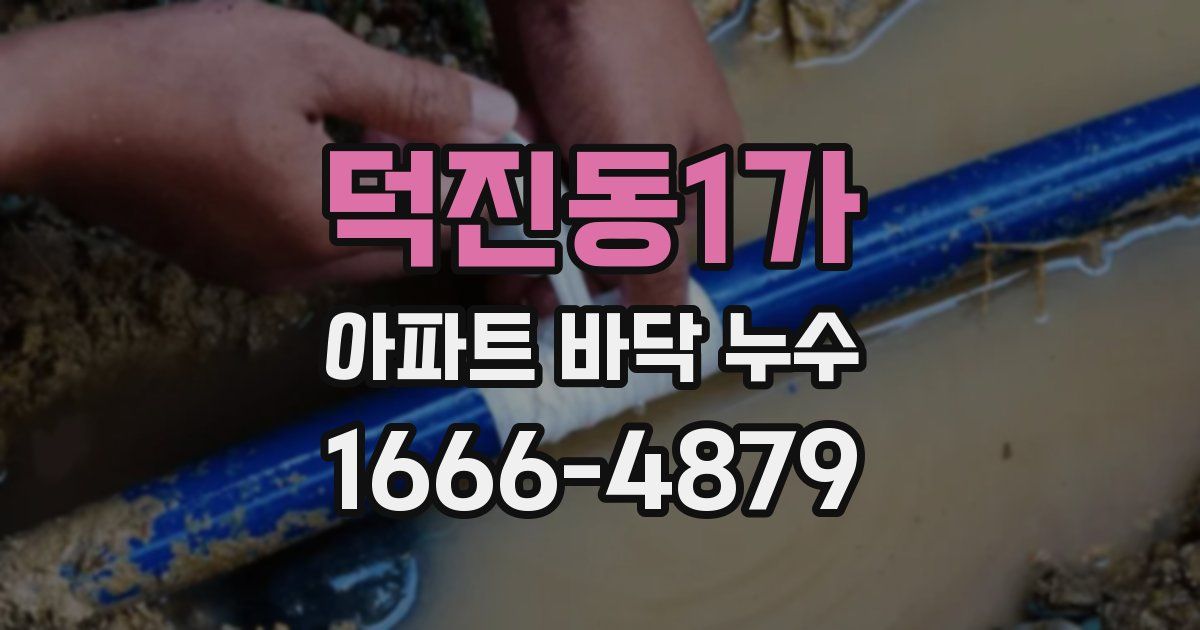 덕진동1가 아파트 바닥 누수