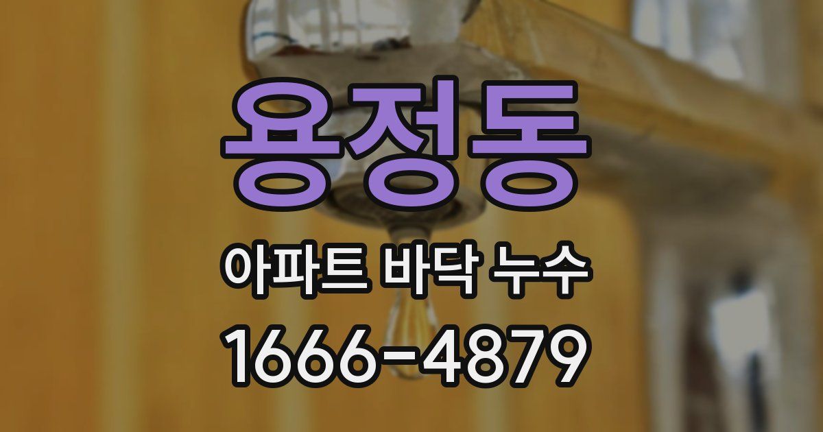 용정동 아파트 바닥 누수