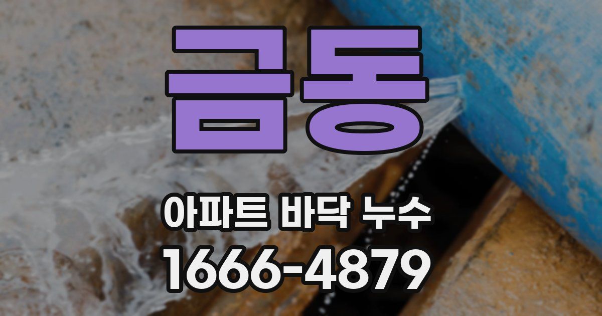 금동 아파트 바닥 누수
