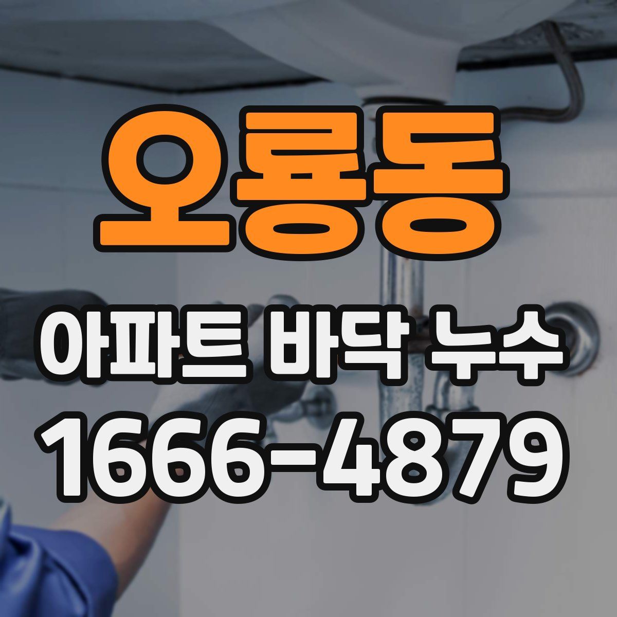 오룡동 아파트 바닥 누수