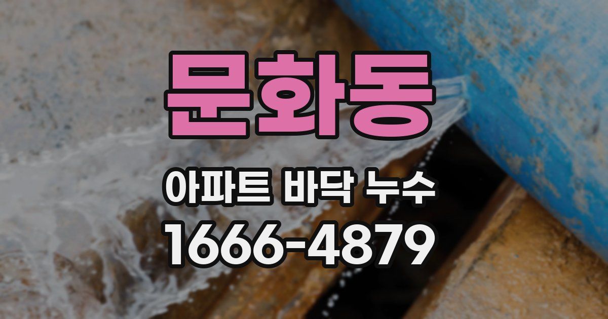 문화동 아파트 바닥 누수