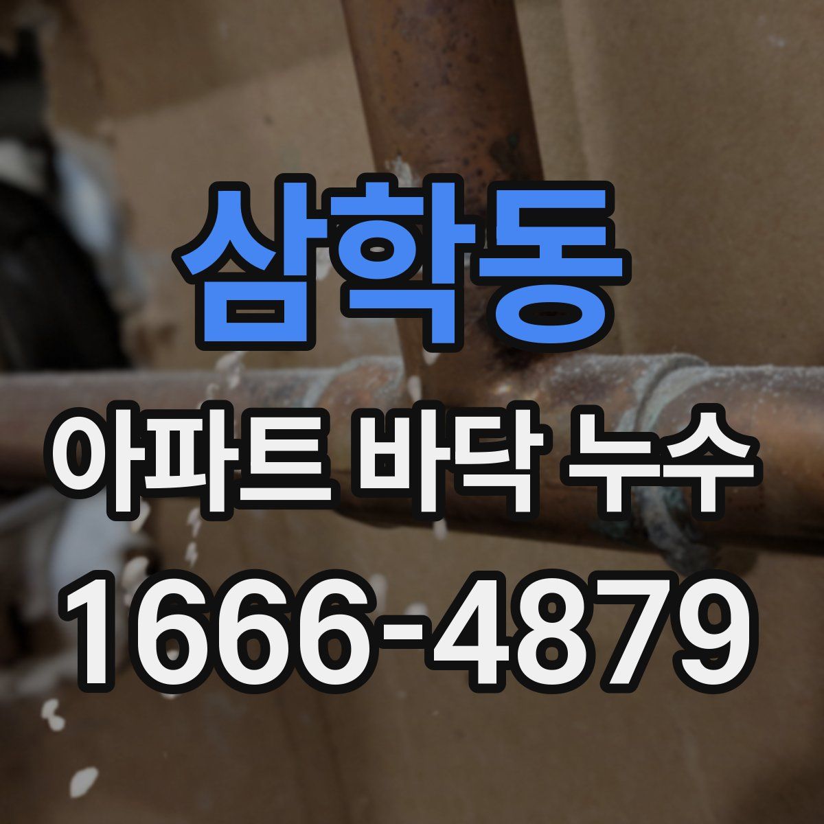 삼학동 아파트 바닥 누수