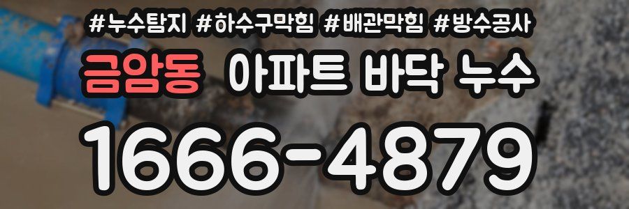 금암동 아파트 바닥 누수
