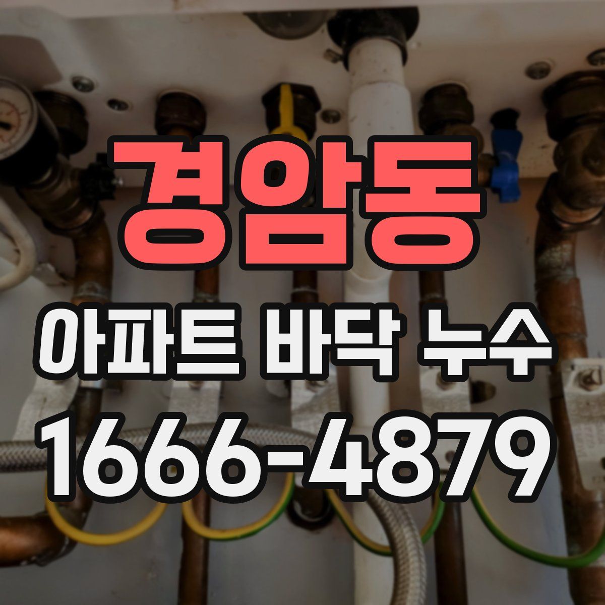 경암동 아파트 바닥 누수