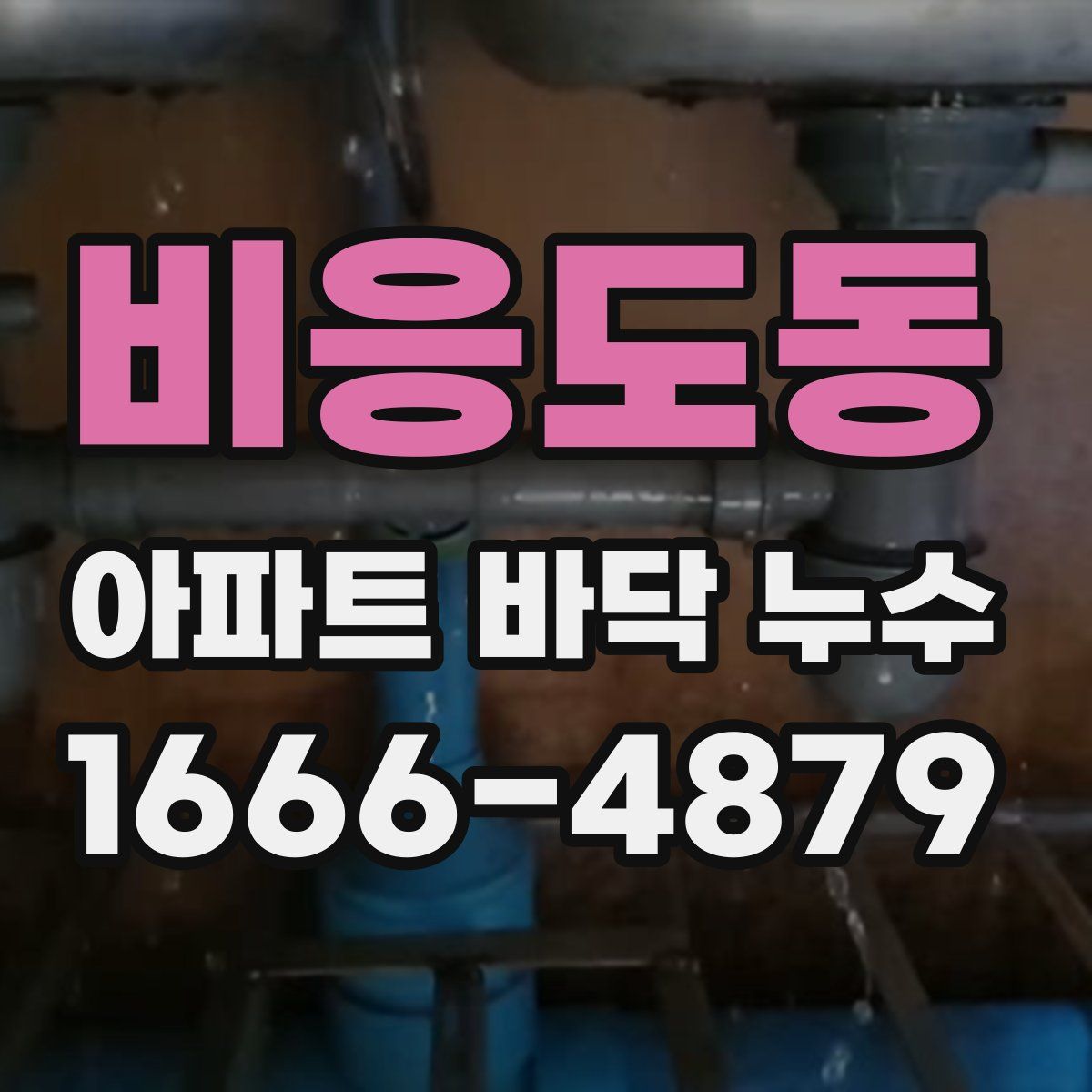 비응도동 아파트 바닥 누수