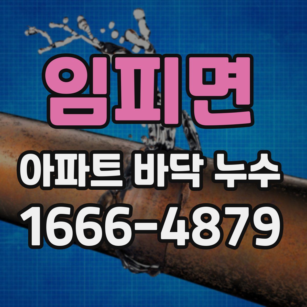 임피면 아파트 바닥 누수