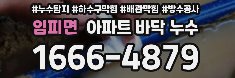 임피면 아파트 바닥 누수