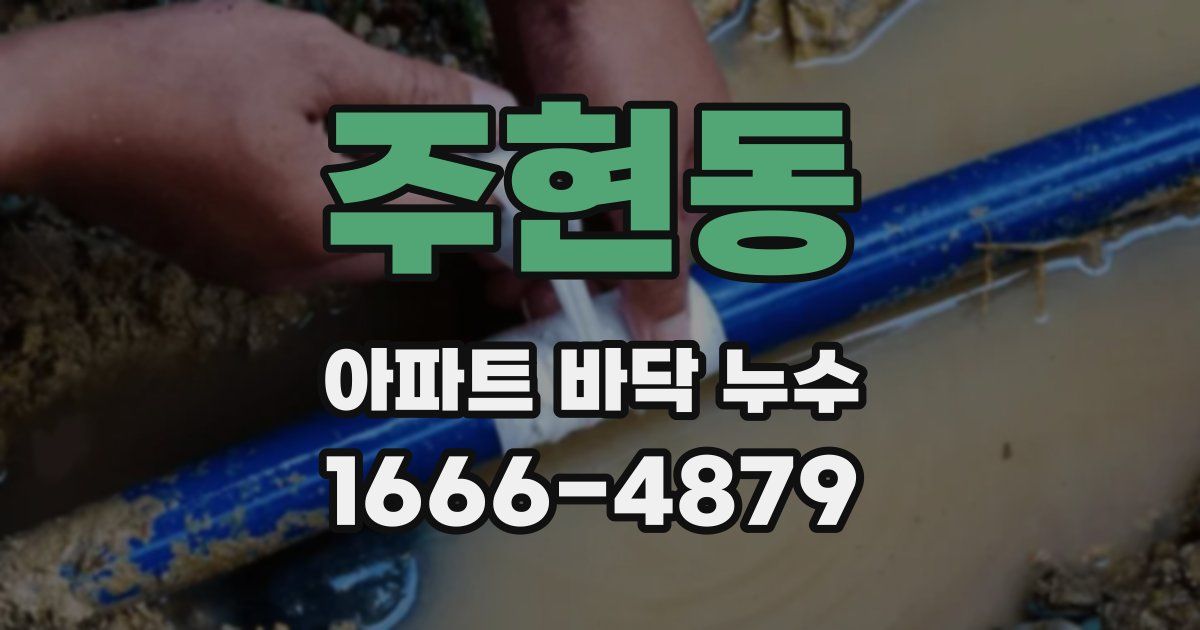 주현동 아파트 바닥 누수
