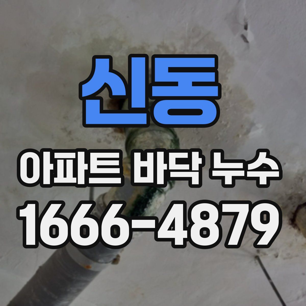 신동 아파트 바닥 누수