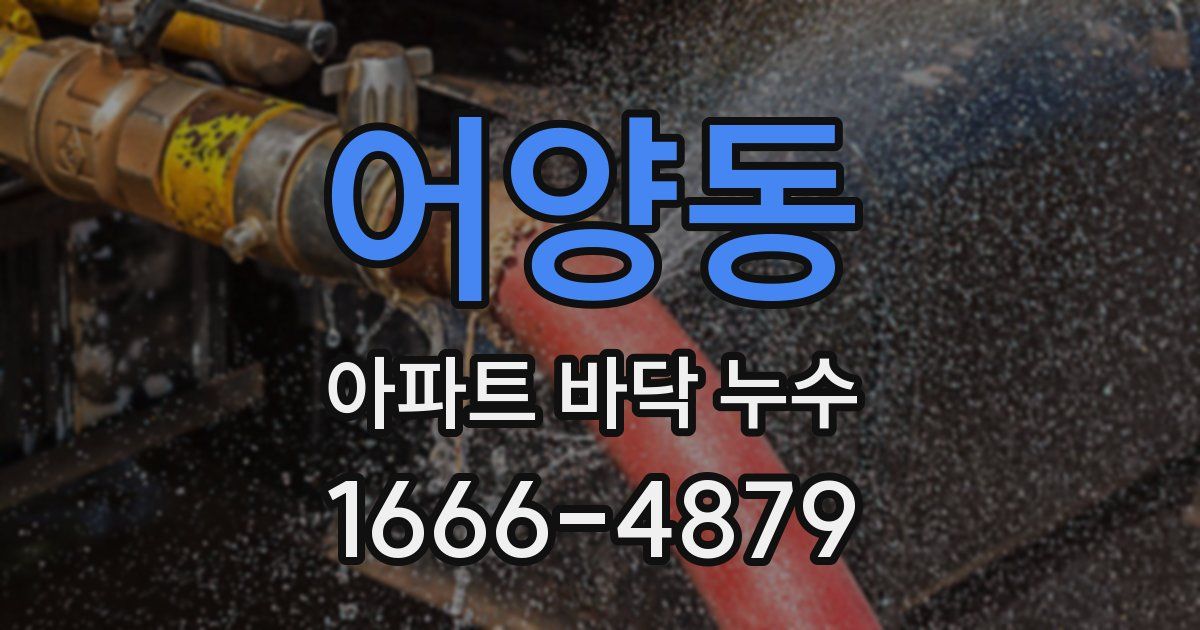 어양동 아파트 바닥 누수