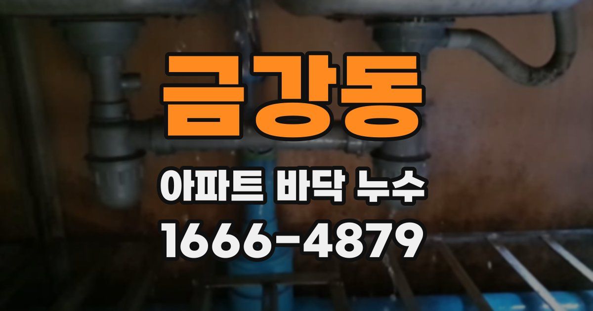금강동 아파트 바닥 누수