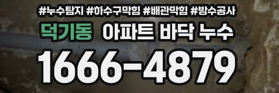 덕기동 아파트 바닥 누수